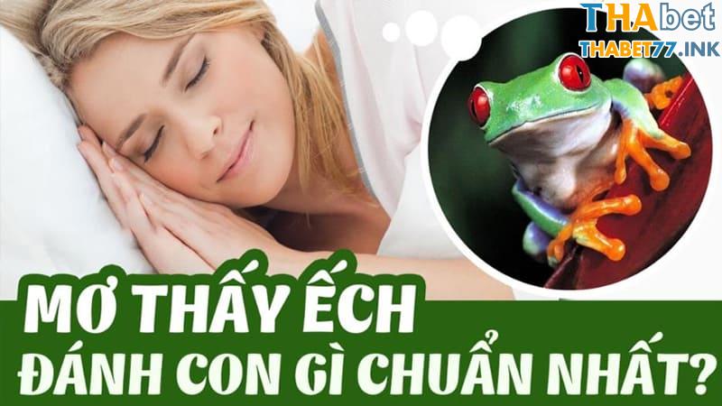 Con ếch số mấy? Những bộ số lô đẹp may mắn khi mộng thấy ếch