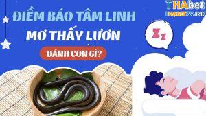 con lươn số mấy