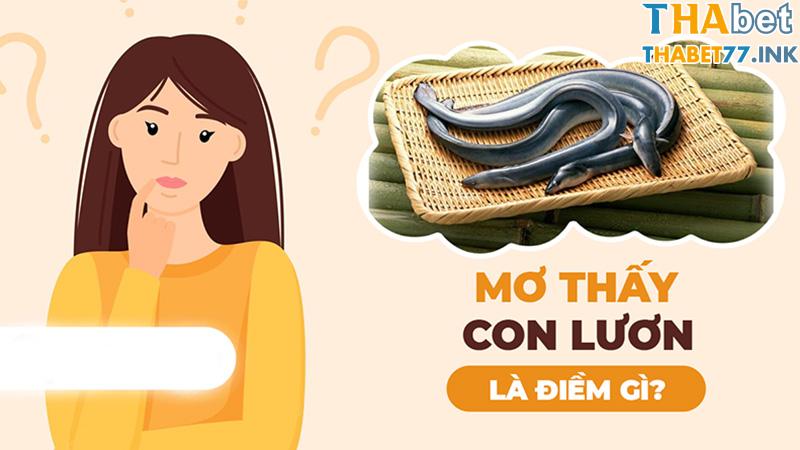 Giải mã giấc mơ thấy lươn mang lại điềm báo gì trong tương lai