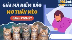 con mèo số mấy