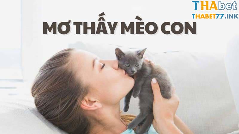 Nằm chiêm bao thấy nhiều mèo con là tốt hay xấu?