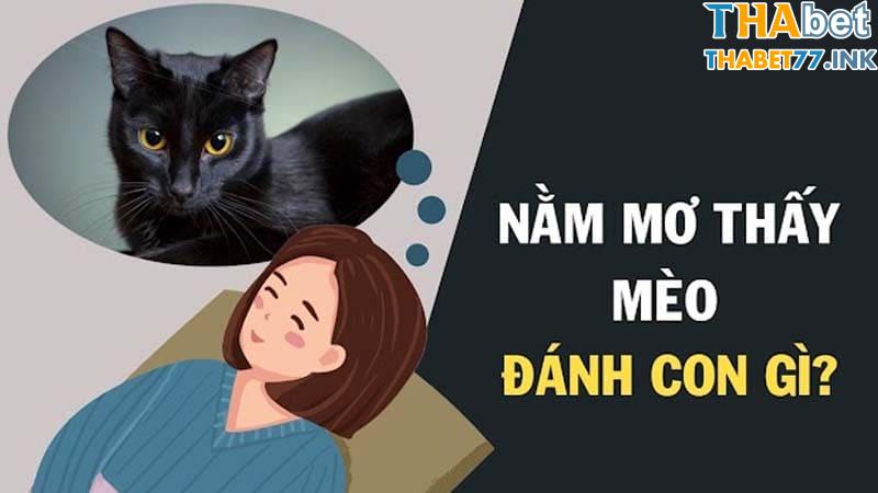 Đánh con mèo số mấy khi gặp giấc mơ thấy mèo?