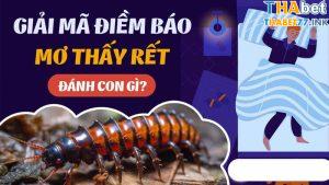 con rết số mấy