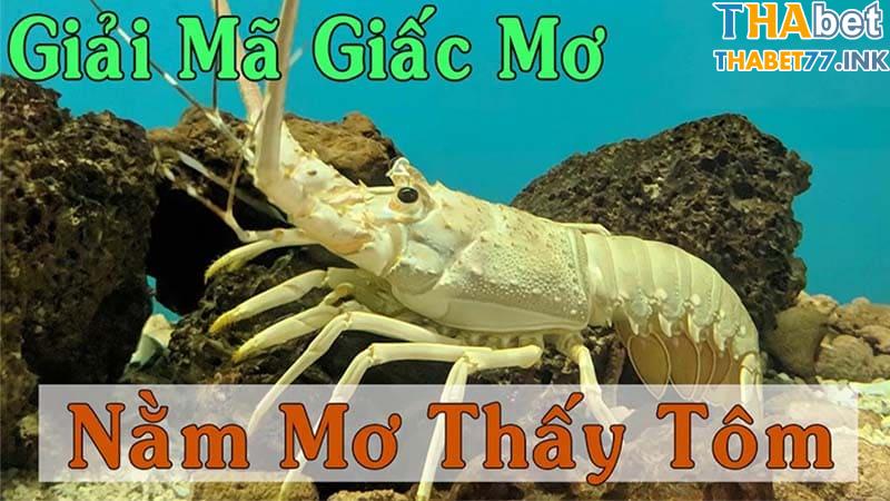 Giải mã cụ thể thông điệp điềm báo tương lai liên quan giấc mơ thấy tôm