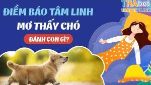 mơ thấy chó