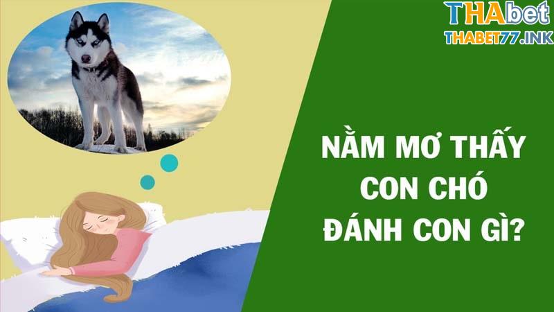 Cặp số may mắn khi nằm mơ thấy chó