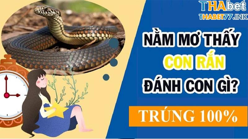 Khi ngủ mơ thấy rắn đánh con số gì chuẩn xác