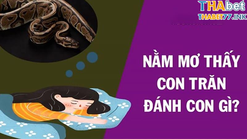 Giải mã giấc mơ thấy trăn nên đánh con gì, số mấy chuẩn nhất